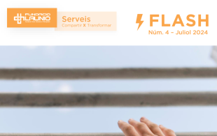 Flash Fundació